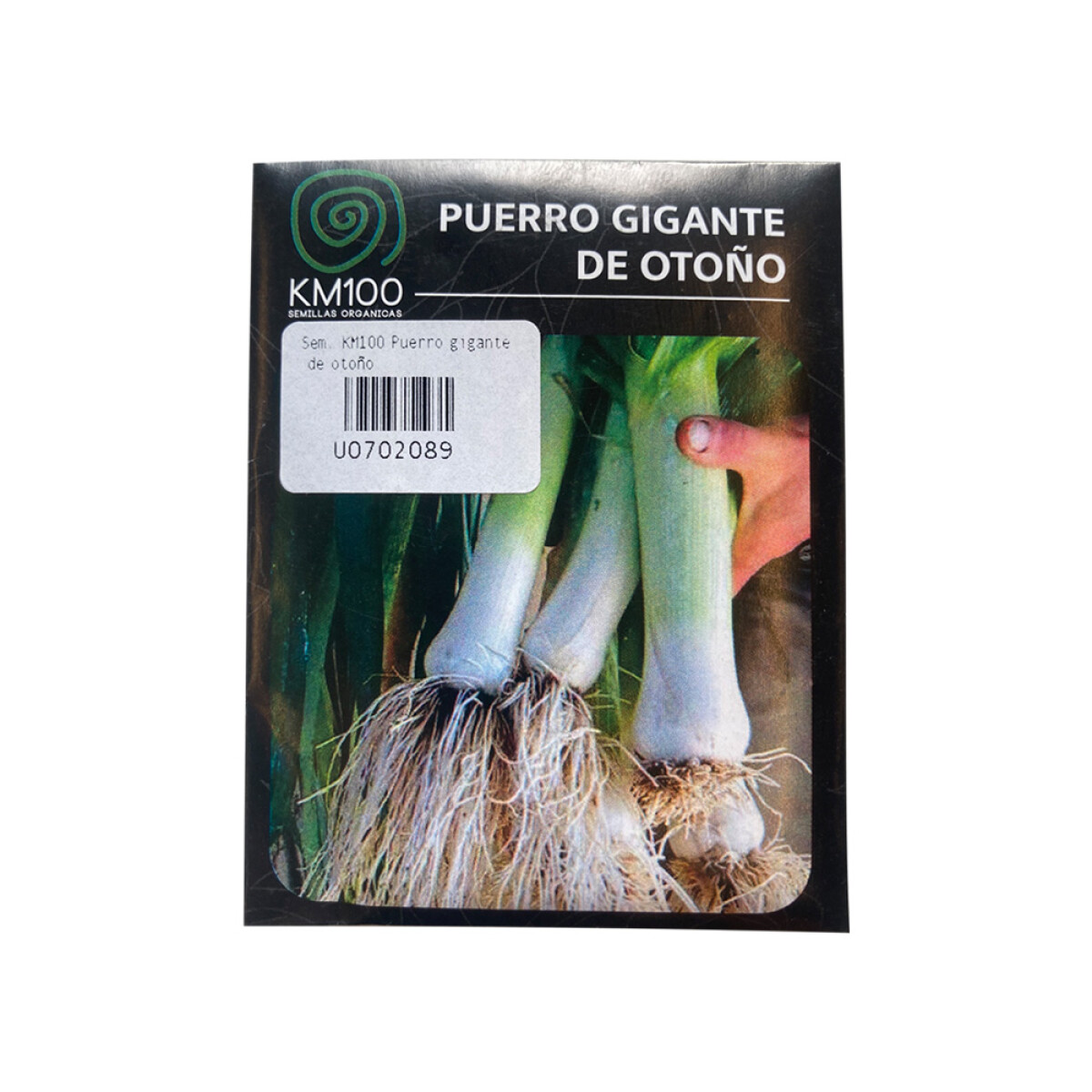 Semillas de puerro gigante de otoño 