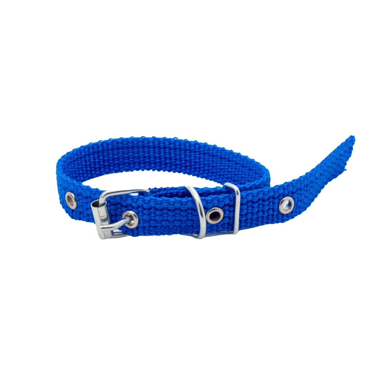 COLLAR CINTA N° 1 - AZUL FRANCIA 