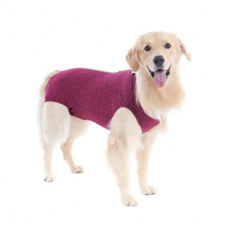 BODY TARGETPET PERRO TALLE 6 Body Targetpet Perro Talle 6