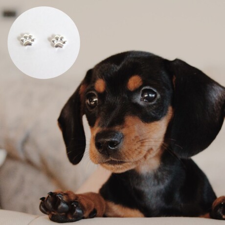 Caravanas Huellitas Caravanas Huellitas