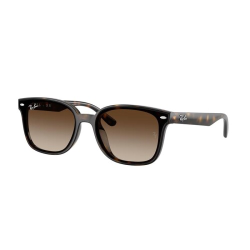 Ray Ban Rb4461d 710/13