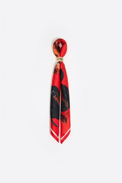 PAÑUELO Rojo
