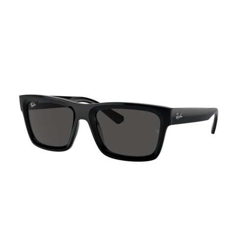 Ray Ban Rb4396 Warren 6677/87