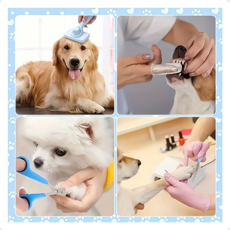 Kit de Cuidado y Aseo para Mascotas Celeste