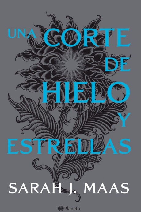 UNA CORTE DE HIELO Y ESTRELLAS (4) UNA CORTE DE HIELO Y ESTRELLAS (4)