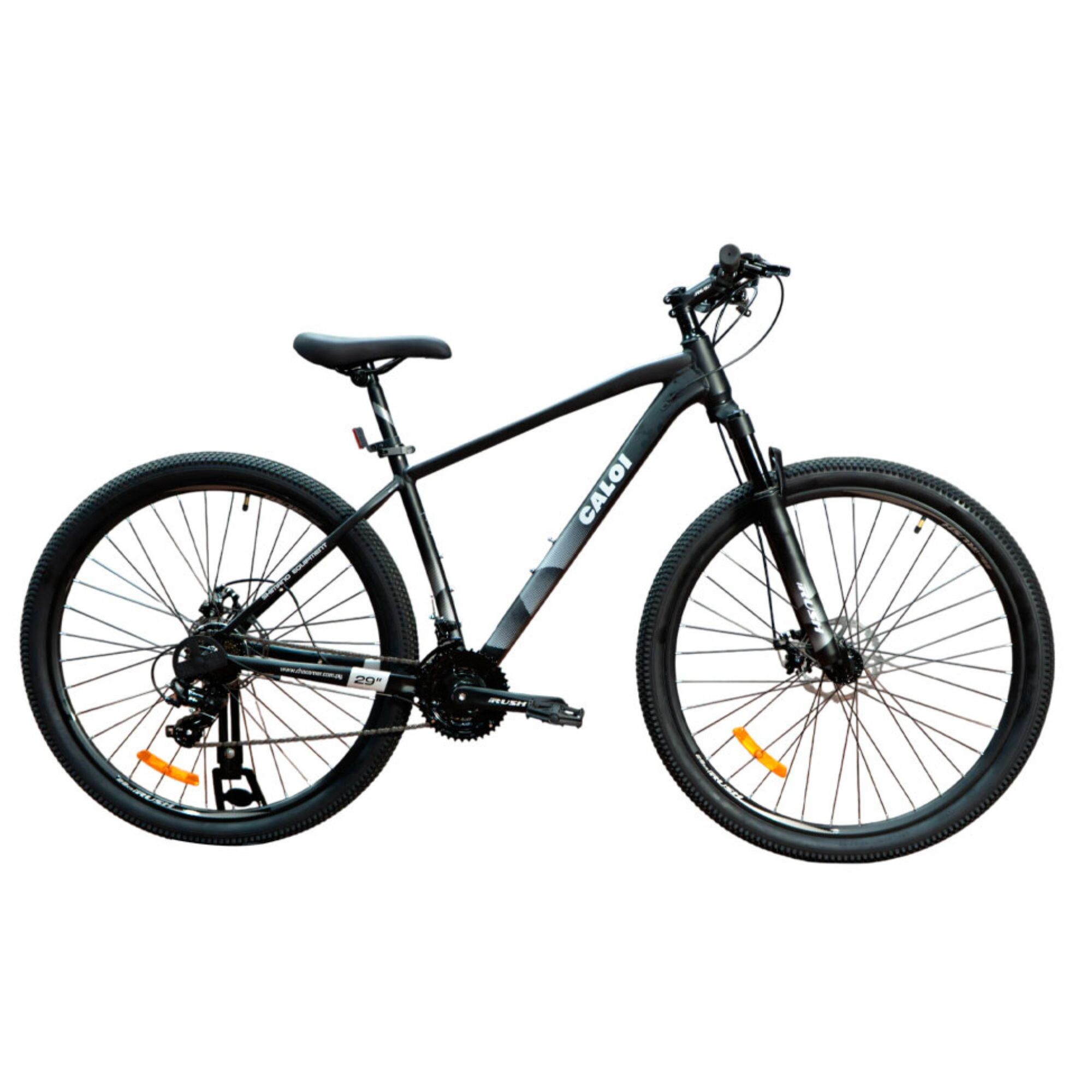 Bicicleta Caloi Pro 9900 Aro 29" - Negro