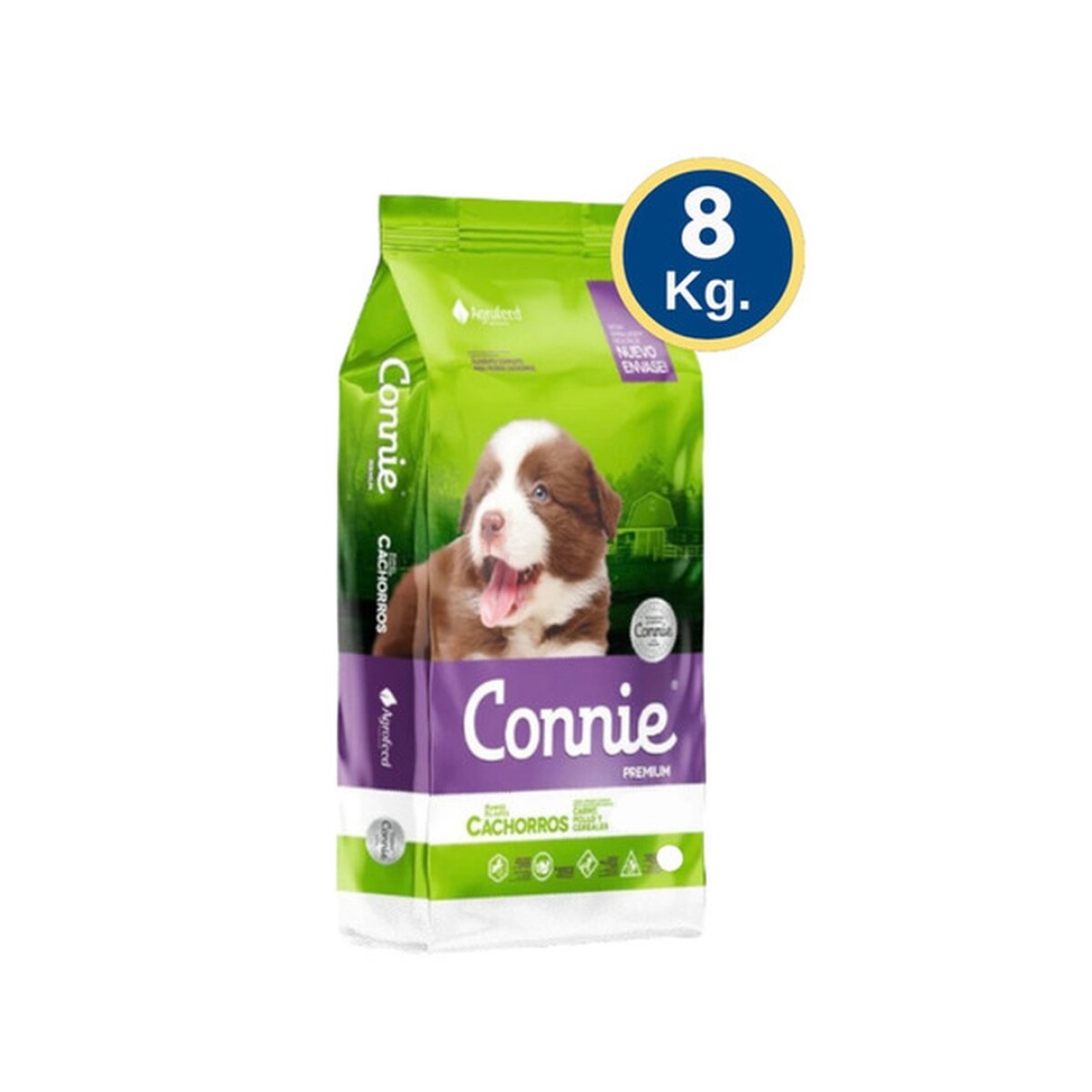 CONNIE PERRO 8K CACHORRO 