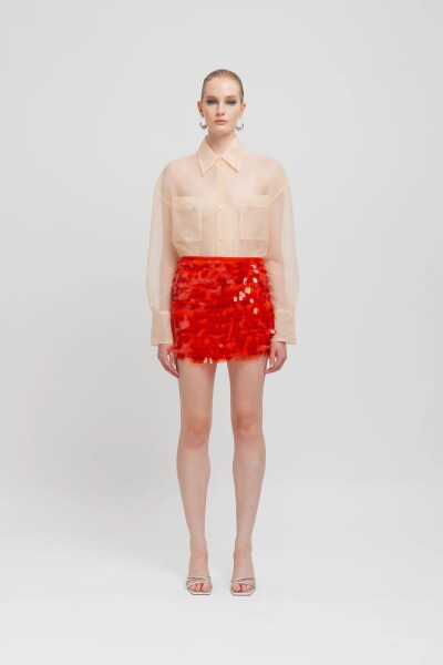 CAMISA ORGANZA Nude