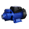 Motobomba Resa Rk50 1/2HP Db125 Db125/Qb60 Monof 220V Motobomba Resa Rk50 1/2HP Db125 Db125/Qb60 Monof 220V