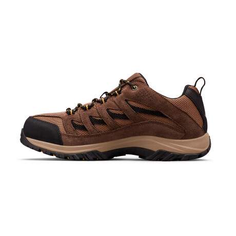 Championes Columbia Crestwood Low Brown