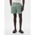 6 INCH SWIM SHORT GREEN STRIPE