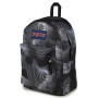 Essential Pack Digital Tides