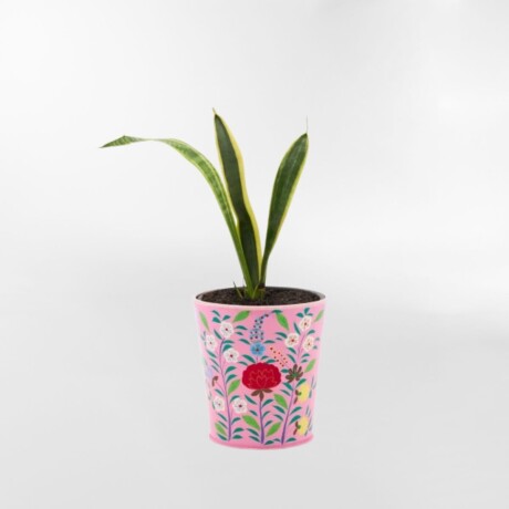 MACETERO FRIDA Rosa - Small