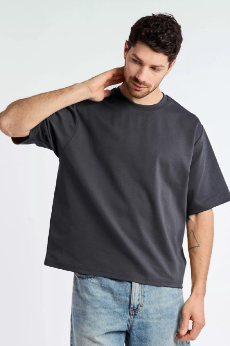 Camiseta Briatore Gris