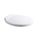Tapa De Inodoro Blanco Brillo Dgc