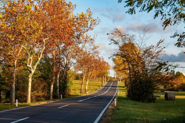 Soriano Autocentro: tu aliado para el mantenimiento de otoño