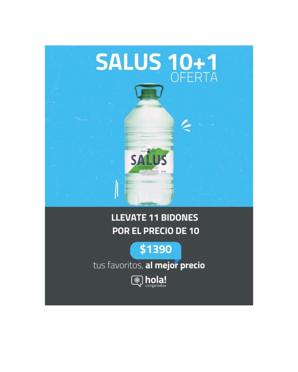 SALUS 10+1 BIDON 6,25LT (11 BIDONES) 