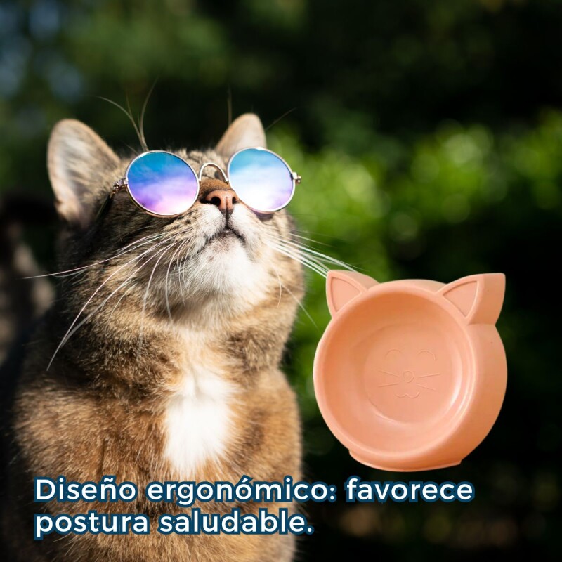 COMEDERO PARA GATO COMEDERO PARA GATO