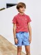 Boxer Estampado Fruta Azul