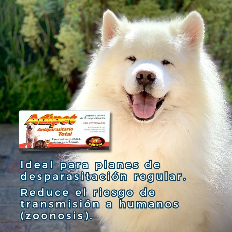 ADIPET ANTIPARASITARIO TOTAL BLISTER DE 10 COMPRIMIDOS ADIPET ANTIPARASITARIO TOTAL BLISTER DE 10 COMPRIMIDOS