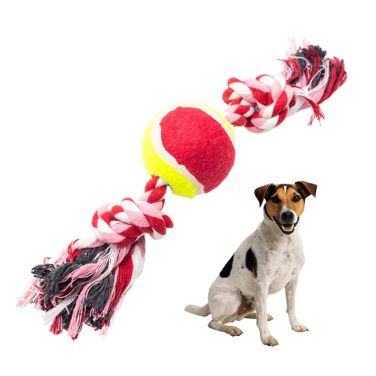 Hueso De Soga Con 2 Nudos Y Pelota De Tenis 25 Cm - Color rojo 