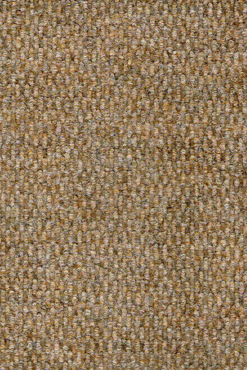 BERBERPOINT 650 FIELTRO BERBERPOINT 650 806 BEGE