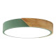 Luminaria Luz Fria Plafon Led Diám 30cm Metal Y Madera Verde