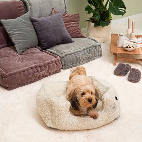 CAMA MASCOTA TEDY Beige