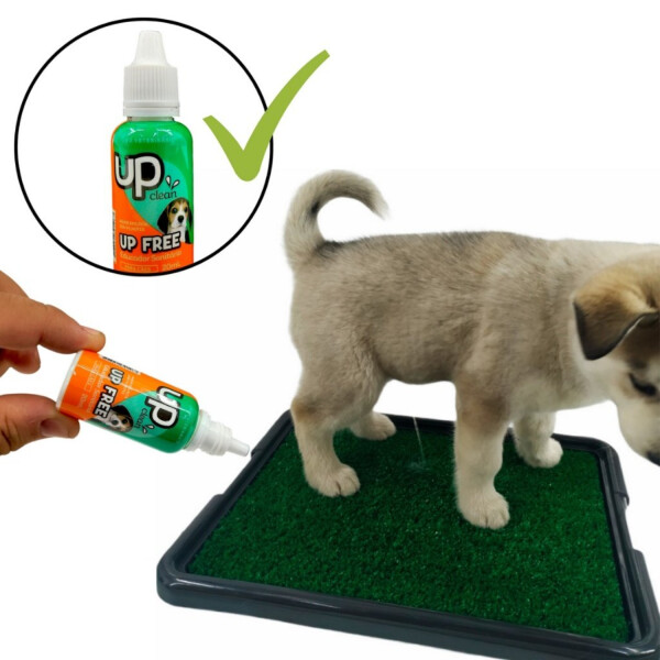 Kit Educador Sanitario Perro Adiestramiento Necesidades Baño Kit Educador Sanitario Perro Adiestramiento Necesidades Baño