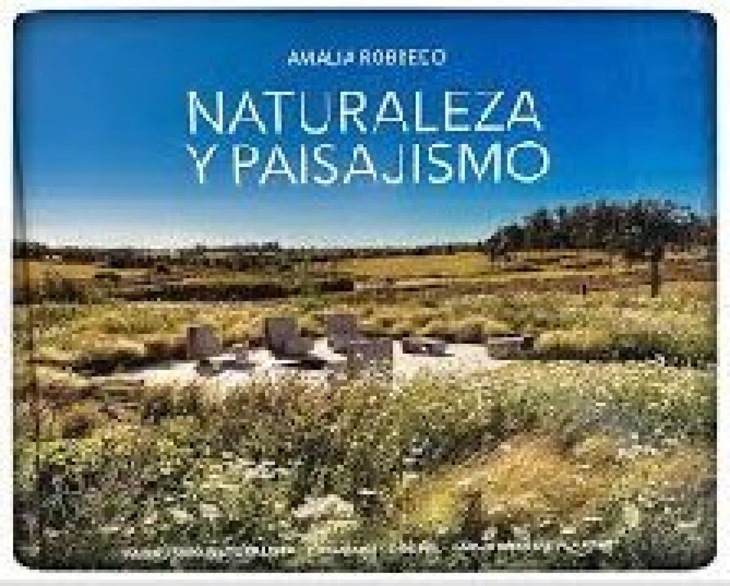 NATURALEZA Y PAISAJISMO 