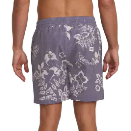 Voley Billabong Inthesun Gris