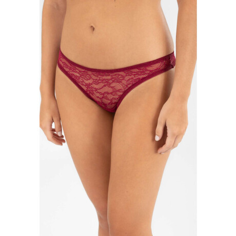 Colaless solapur Bordeaux oscuro