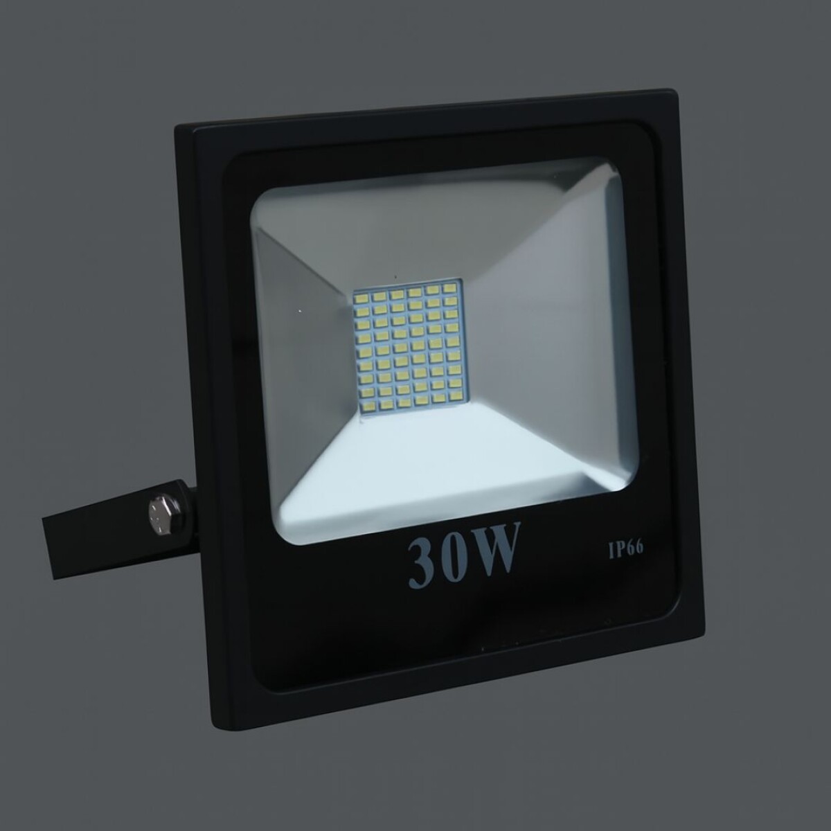 Foco Lampara Led 30w Chato IP66 