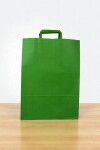 Bolsa lisa acuario 30x12x41 cm VERDE