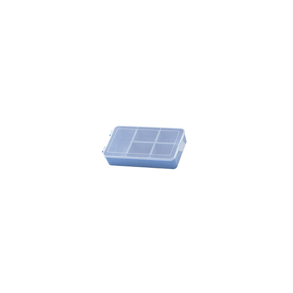 CAJA CON 5 DIVISIONES P 16X9X3.5 CM. MULTICOLOR