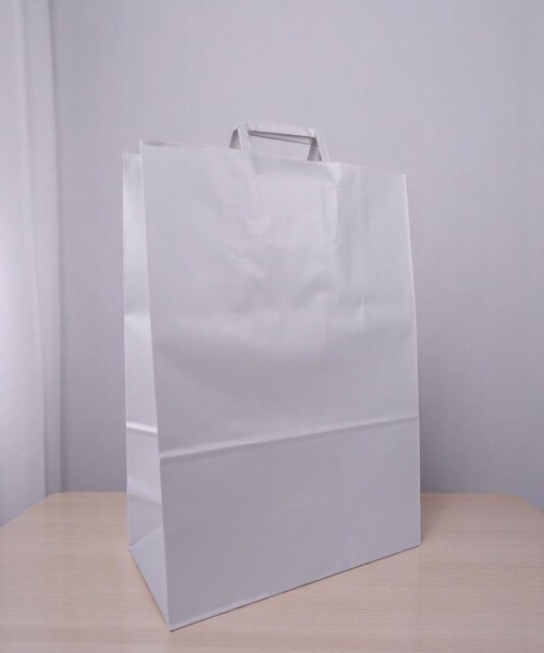 Bolsa lisa acuario 34x17x48 cm BLANCO