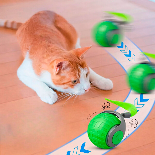 Pelota Inteligente Pelotita Smart Gato Usb Movimiento Luz Color Verde