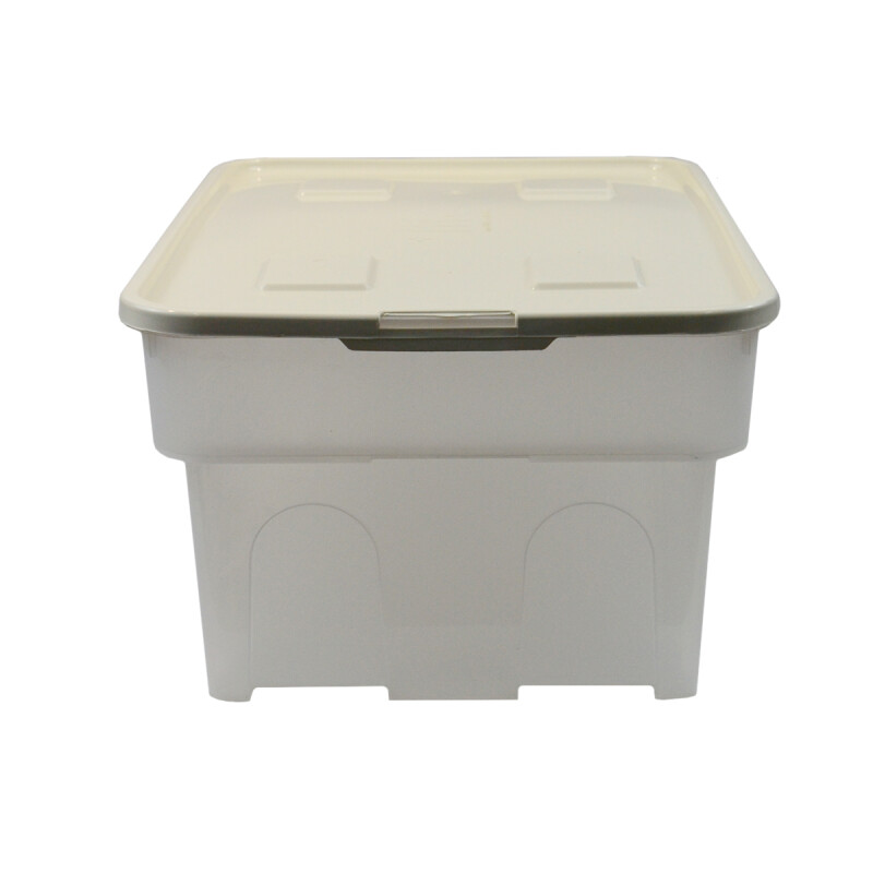 Set x2 Caja organizadora 65 lts BEIGE