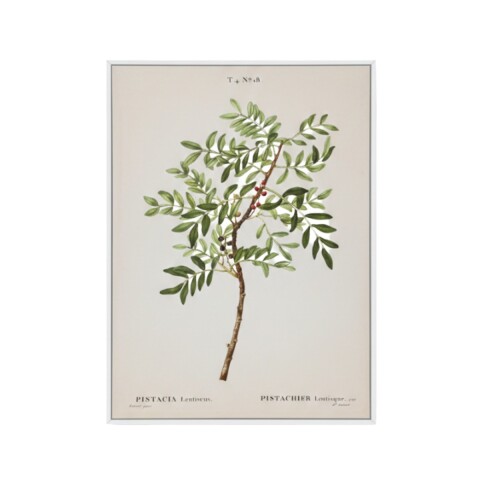 CUADRO DIS PLANTA C/FRUTA ROJA Unica