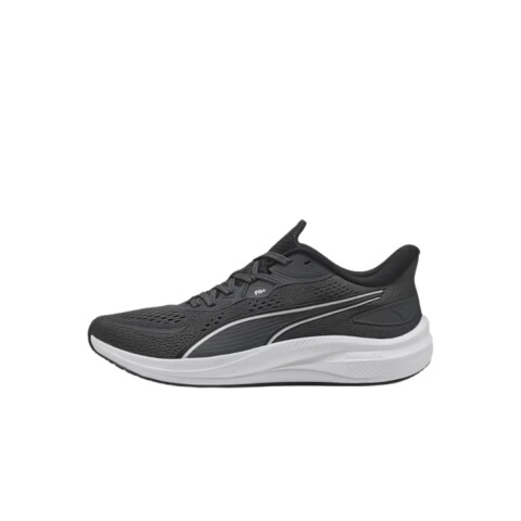 CHAMPION 40-45 GRIS