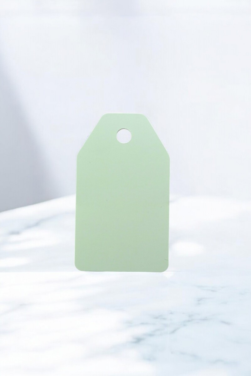 Tag rectangular liso 5x8,5 - VERDE AGUA 