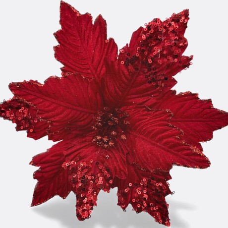 Flor Estrella Federal Rojo