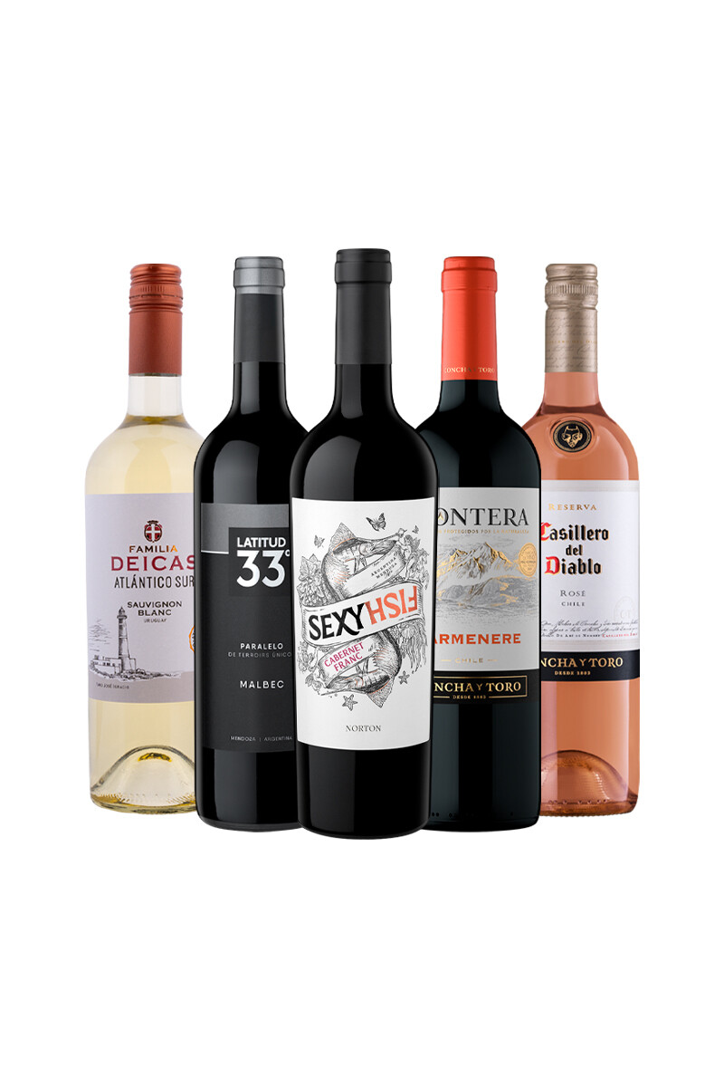 Pack Bacán Selección Easy Going x5 vinos 