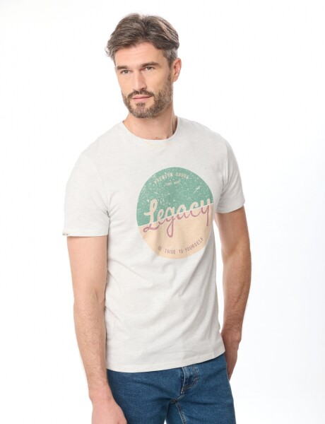 REMERA ESTAMPADA Gris