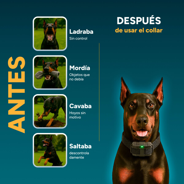 Collar Antiladridos Control Remoto Sumergible Entrenamiento Variante Color Negro
