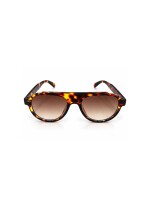 Lentes Carey Lentes Carey