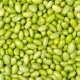 EDAMAME PELADO CONGELADO - 1 KG Edamame Pelado Congelado - 1 Kg