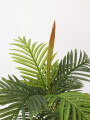 Planta Palmera Areca 85cm Color Unico