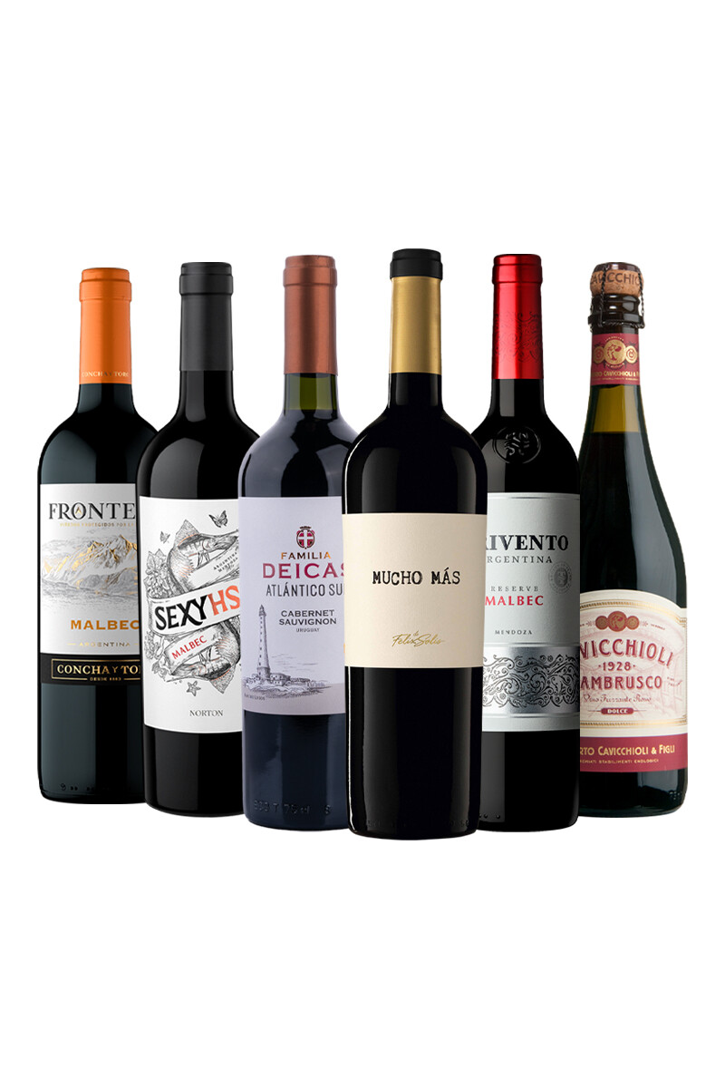 Pack Bacán Selección x6 vinos Recomendados de Agosto 