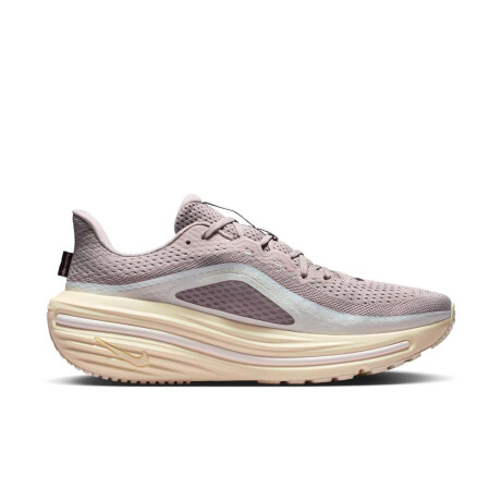 Championes Nike Winflo 12 de Hombre Gris